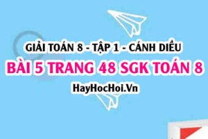 Giải bài 5 trang 48 Toán 8 Tập 1 SGK Cánh Diều